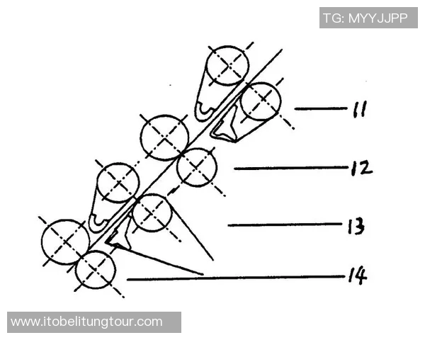 重庆排球队快攻战术解析与实战应用探讨