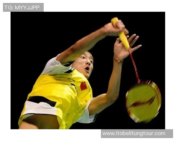 2017年羽毛球世锦赛林丹与谌龙巅峰对决精彩回顾与赛后分析